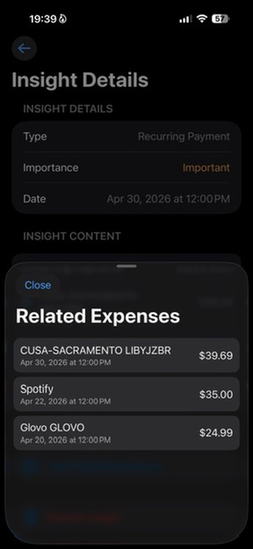 Related Expenses sheet for recurring payments.
